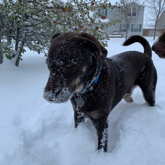 Meet your Posher, Jedda - Picture 6 of 8